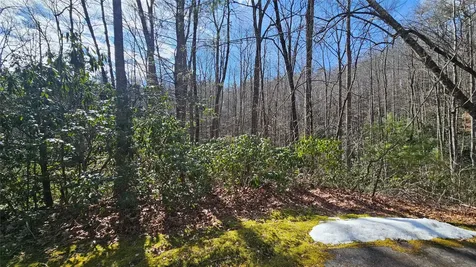 Lot 18 Sourwood Court Sapphire NC 28774