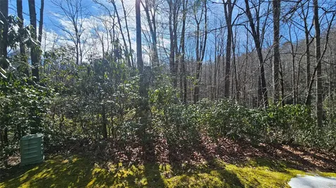 Lot 18 Sourwood Court Sapphire NC 28774