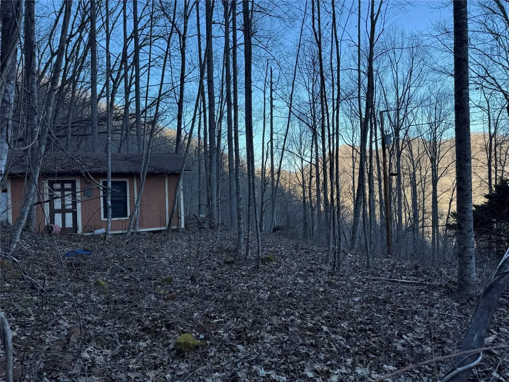 65 Savannah View Lane Sylva NC 28779