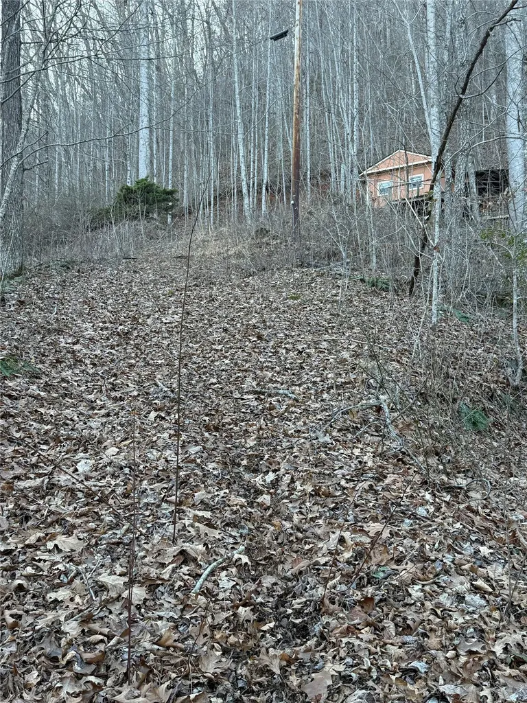 65 Savannah View Lane Sylva NC 28779