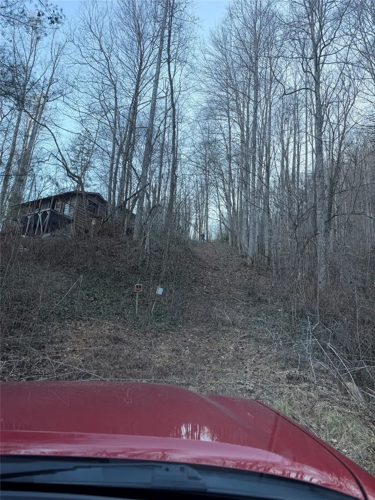 65 Savannah View Lane Sylva NC 28779