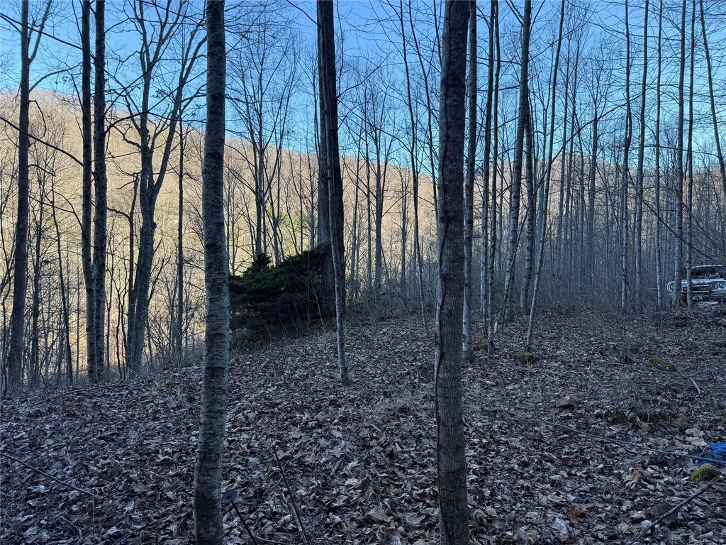 65 Savannah View Lane Sylva NC 28779