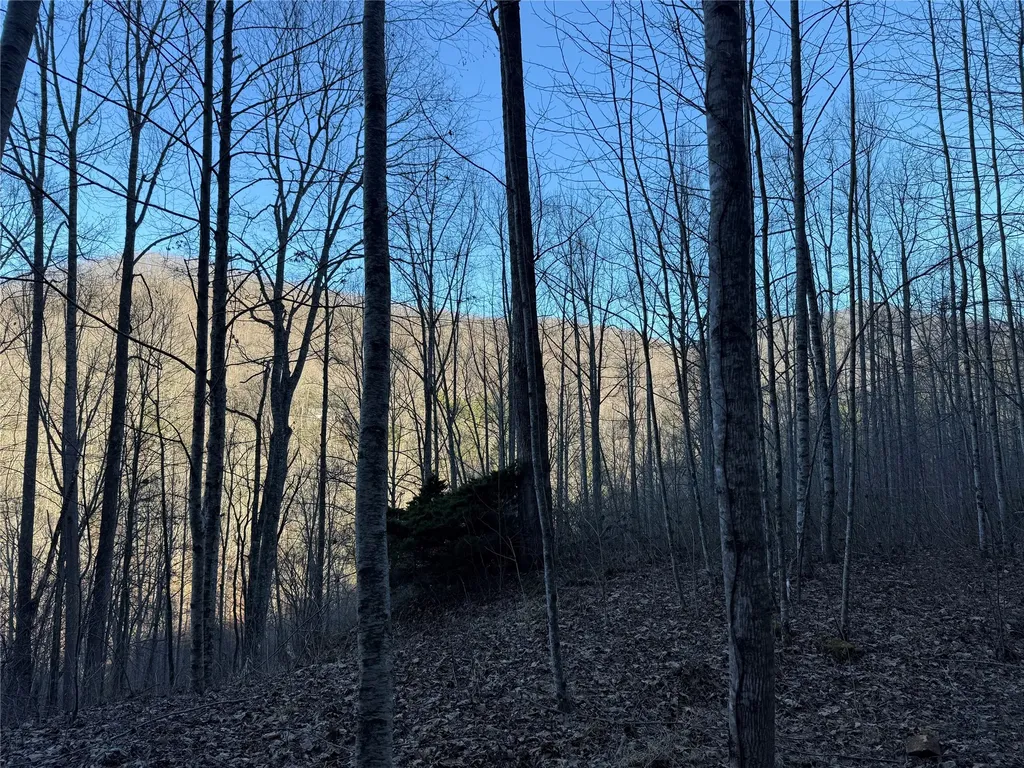 65 Savannah View Lane Sylva NC 28779