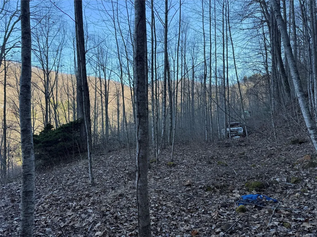 65 Savannah View Lane Sylva NC 28779