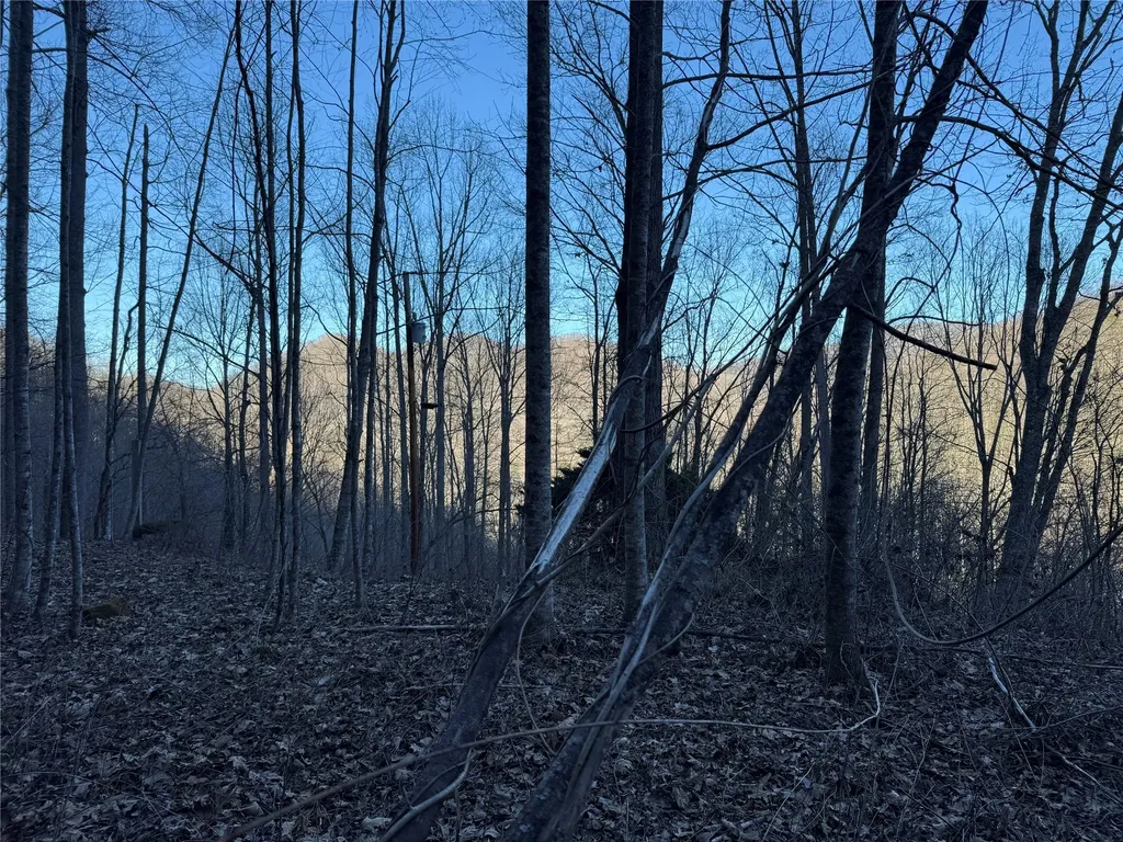 65 Savannah View Lane Sylva NC 28779