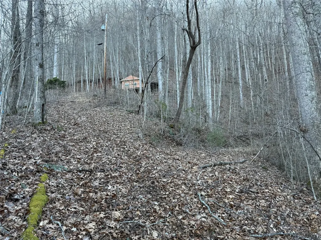 65 Savannah View Lane Sylva NC 28779