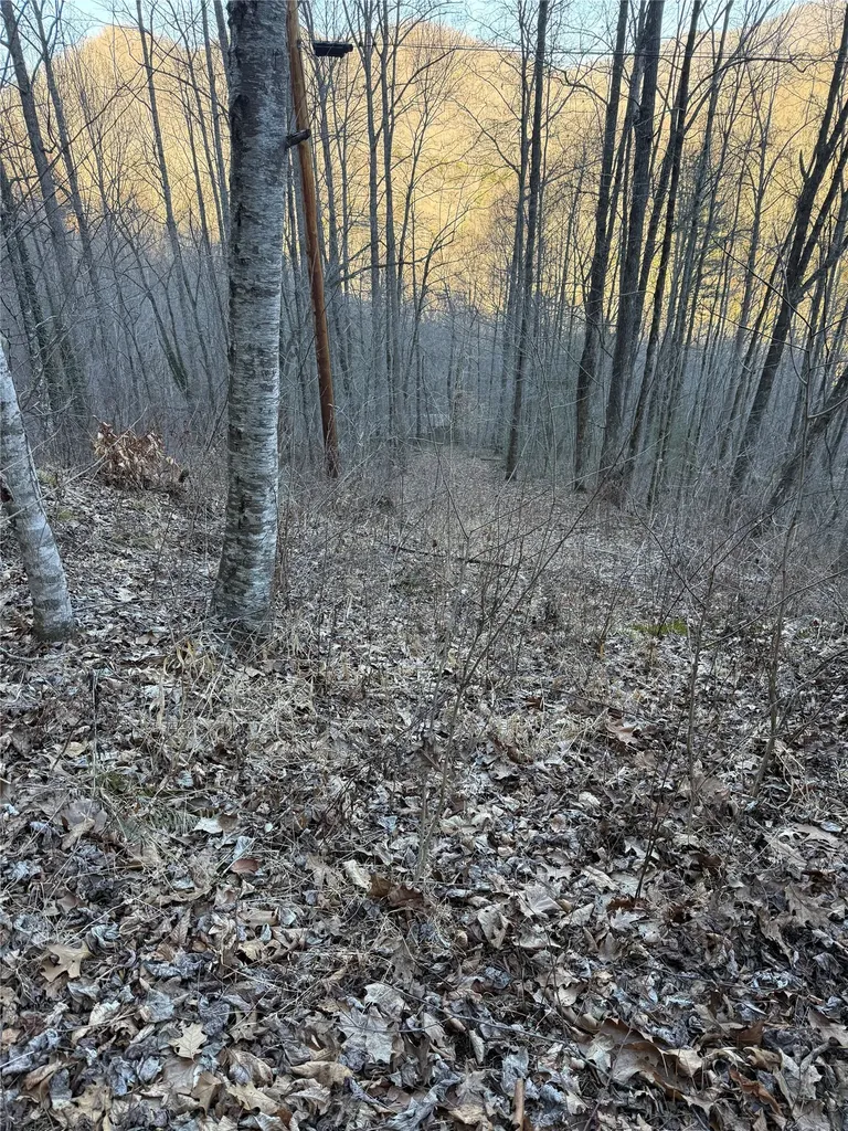 65 Savannah View Lane Sylva NC 28779