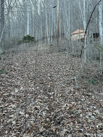 65 Savannah View Lane Sylva NC 28779