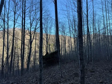 65 Savannah View Lane Sylva NC 28779
