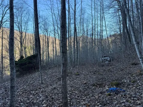 65 Savannah View Lane Sylva NC 28779