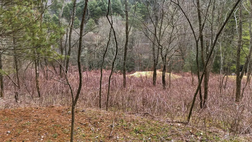 16 Trillium Ridge Road Cullowhee NC 28723