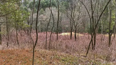 16 Trillium Ridge Road Cullowhee NC 28723