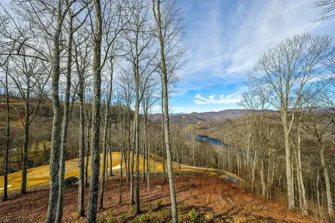 1839 Grandview Drive Tuckasegee NC 28783