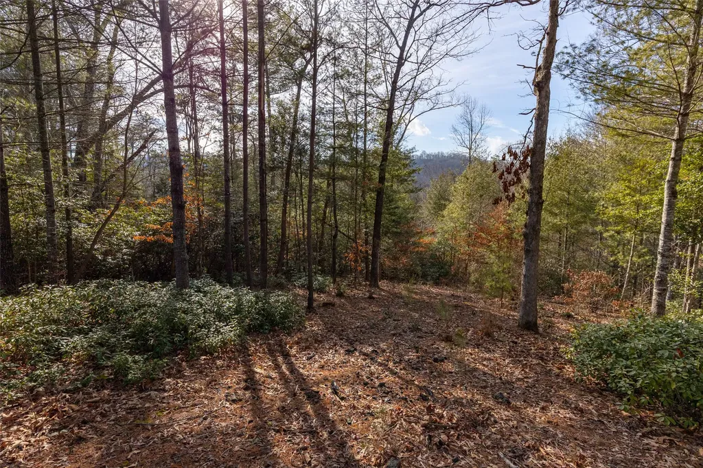 46 Amberleaf Way Cullowhee NC 28723