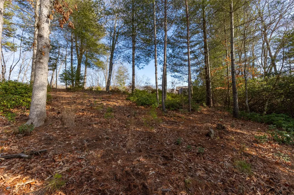 46 Amberleaf Way Cullowhee NC 28723