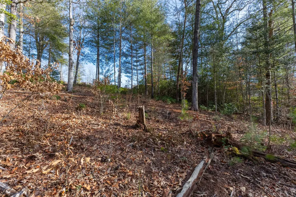 46 Amberleaf Way Cullowhee NC 28723