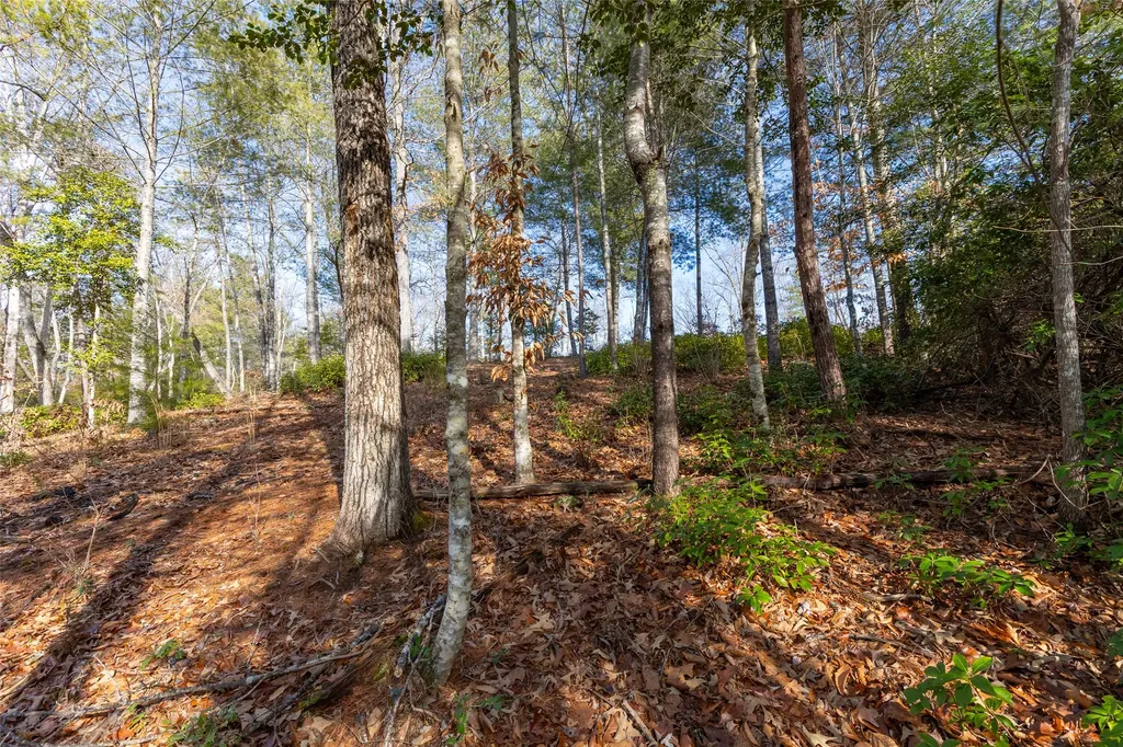 46 Amberleaf Way Cullowhee NC 28723