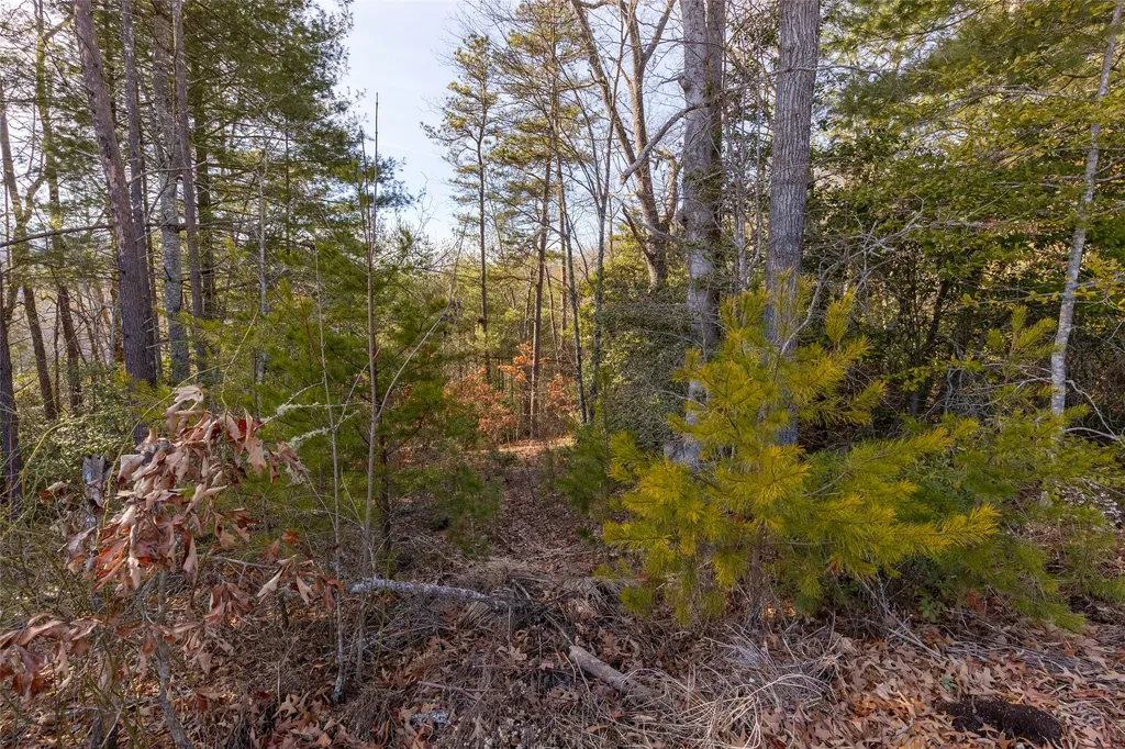 46 Amberleaf Way Cullowhee NC 28723