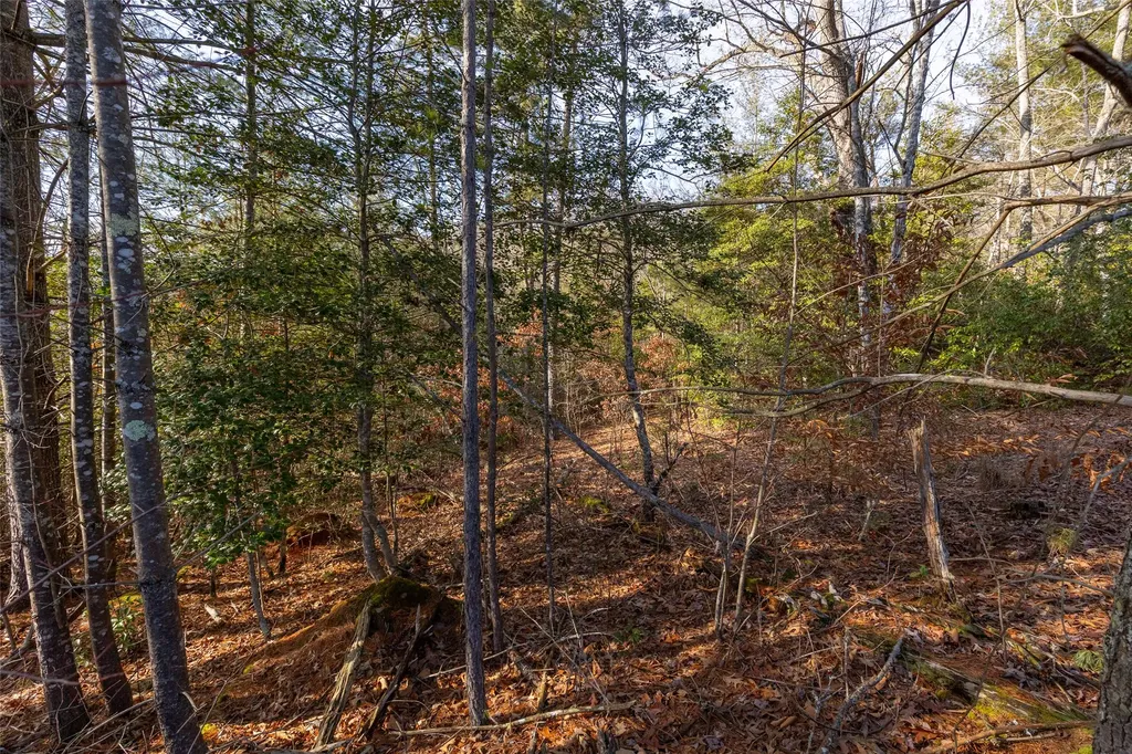 46 Amberleaf Way Cullowhee NC 28723