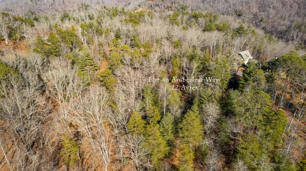 46 Amberleaf Way Cullowhee NC 28723