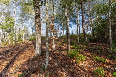 46 Amberleaf Way Cullowhee NC 28723