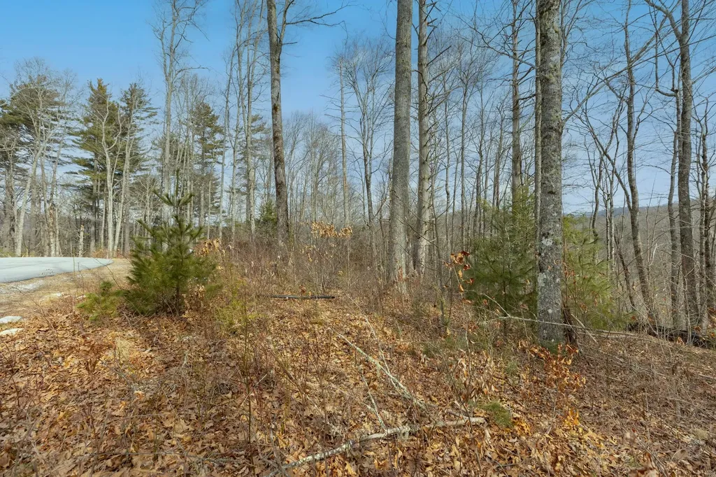 Lot 22 Norton Ridge Lane Cashiers NC 28717