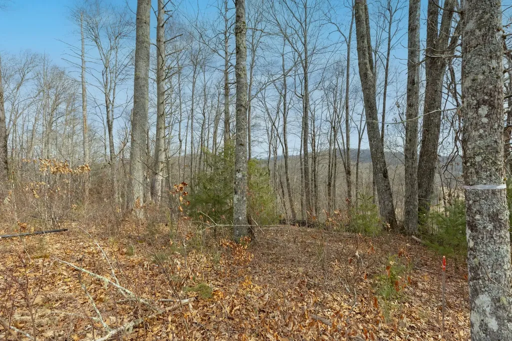 Lot 22 Norton Ridge Lane Cashiers NC 28717