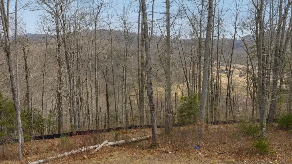 Lot 22 Norton Ridge Lane Cashiers NC 28717