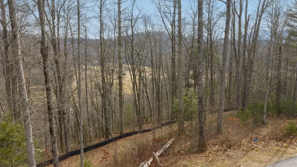 Lot 22 Norton Ridge Lane Cashiers NC 28717