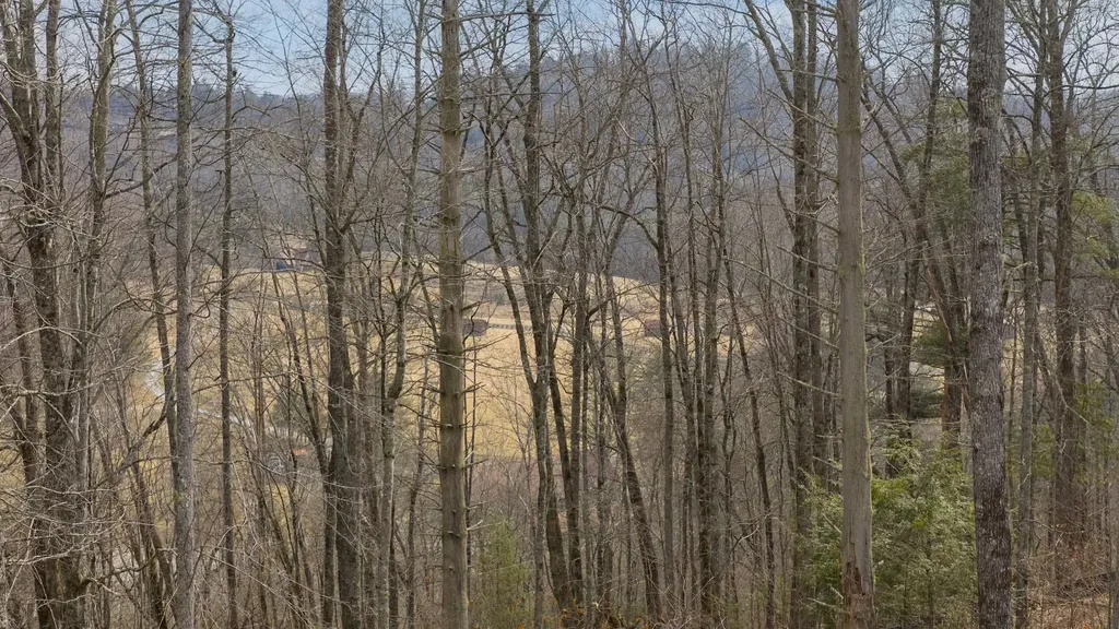 Lot 22 Norton Ridge Lane Cashiers NC 28717