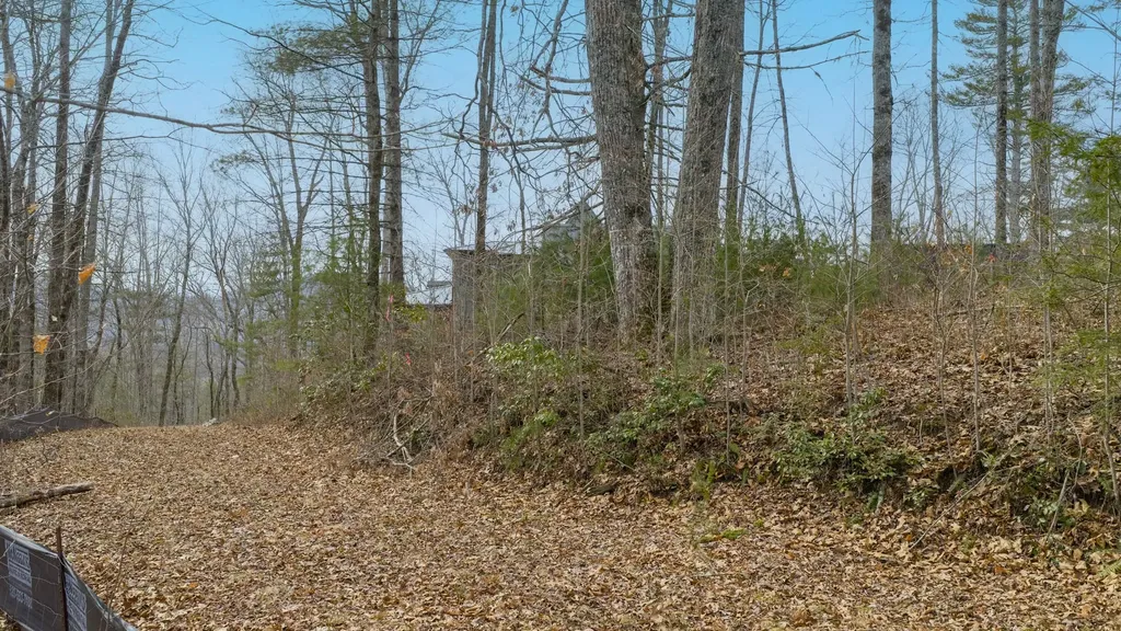 Lot 22 Norton Ridge Lane Cashiers NC 28717