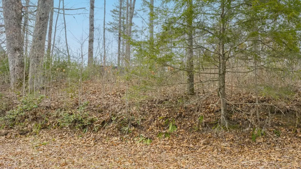 Lot 22 Norton Ridge Lane Cashiers NC 28717