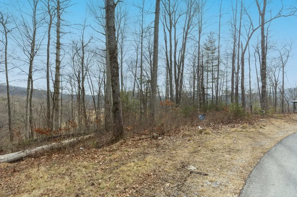 Lot 22 Norton Ridge Lane Cashiers NC 28717