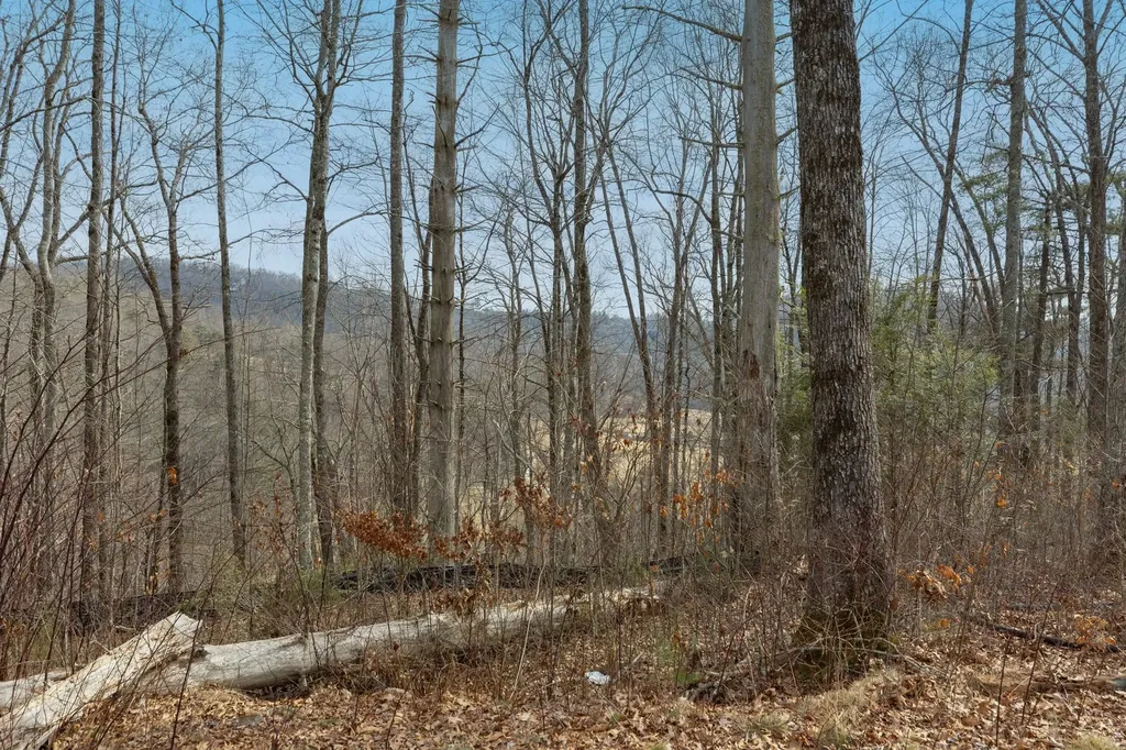Lot 22 Norton Ridge Lane Cashiers NC 28717