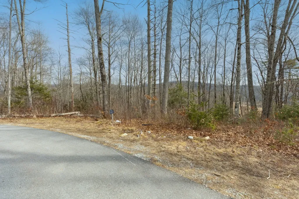 Lot 22 Norton Ridge Lane Cashiers NC 28717