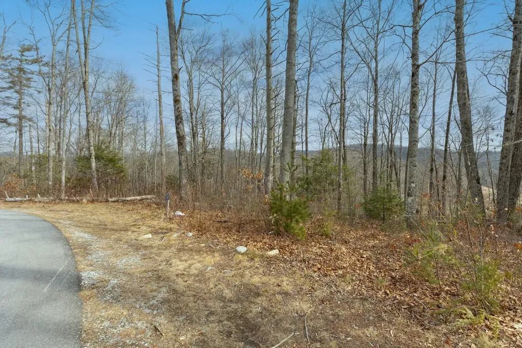 Lot 22 Norton Ridge Lane Cashiers NC 28717