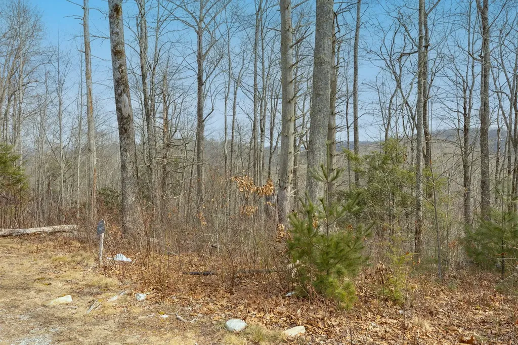 Lot 22 Norton Ridge Lane Cashiers NC 28717