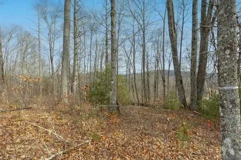Lot 22 Norton Ridge Lane Cashiers NC 28717