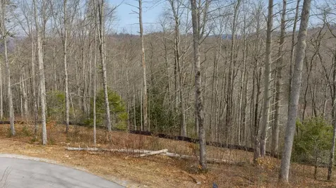 Lot 22 Norton Ridge Lane Cashiers NC 28717