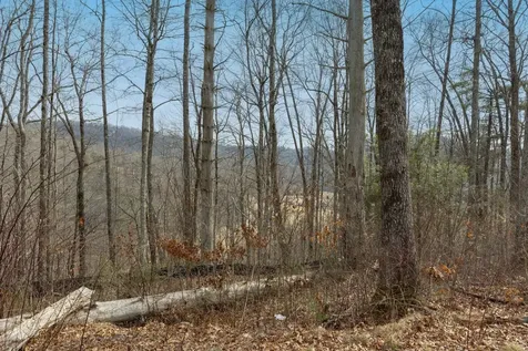 Lot 22 Norton Ridge Lane Cashiers NC 28717