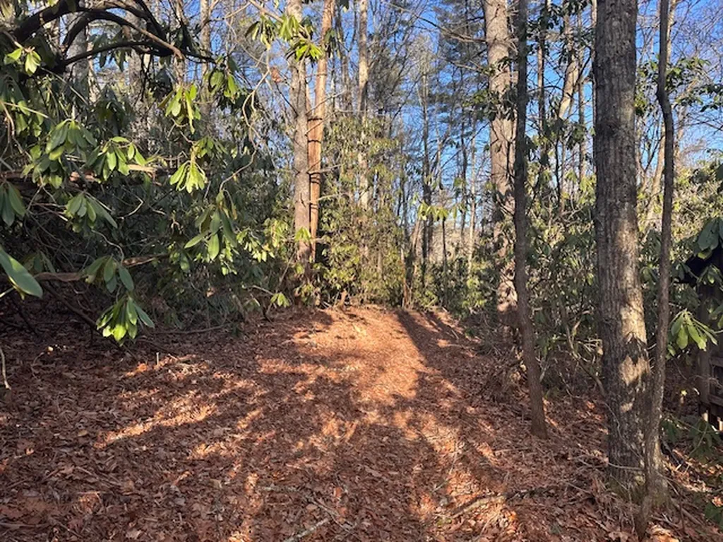 Tbd Kim Miller Road Lake Toxaway NC 28747