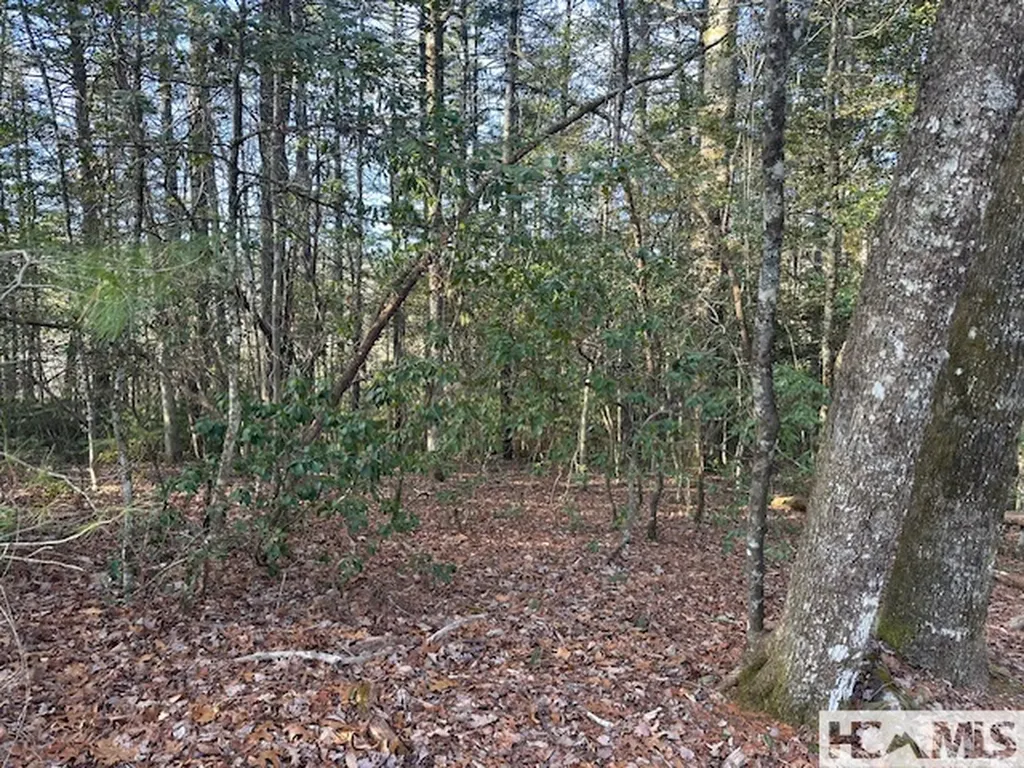 Tbd Kim Miller Road Lake Toxaway NC 28747