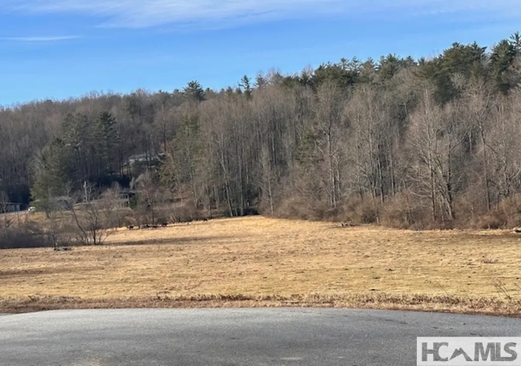 Tbd Kim Miller Road Lake Toxaway NC 28747