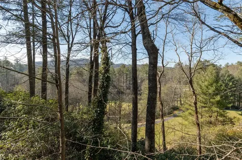 134 Racquet Club Villas Drive Sapphire NC 28774