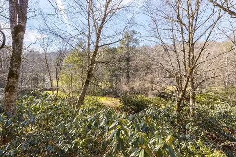 223 Chestnut Cove Highlands NC 28741