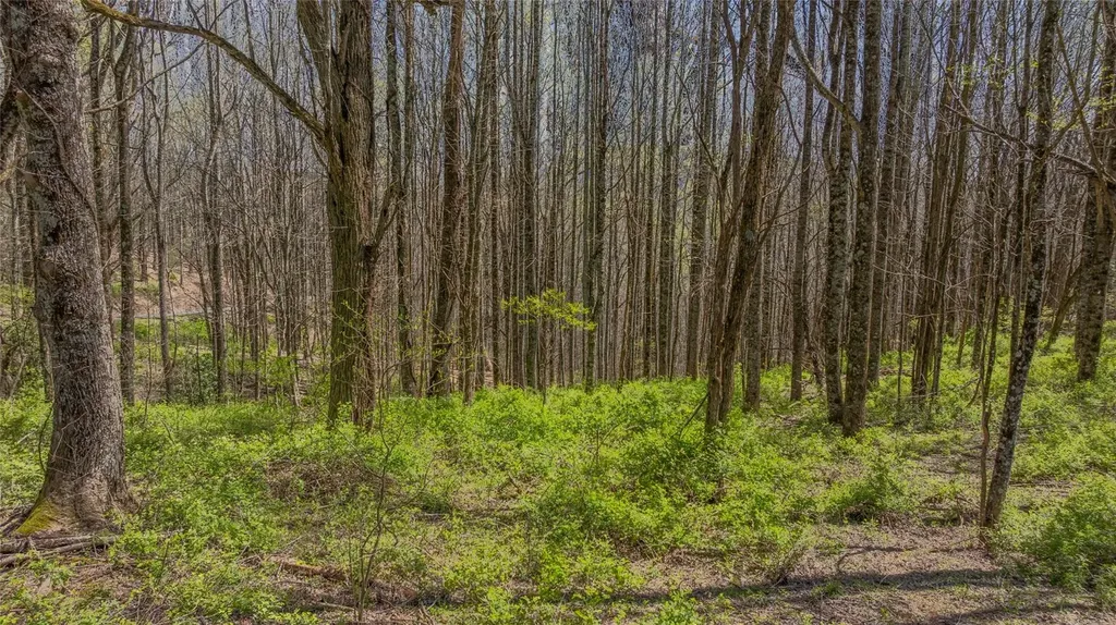 Lot 35 Thomas Knob Estates Road Scaly Mountain NC 28775