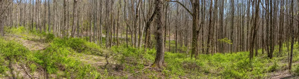 Lot 35 Thomas Knob Estates Road Scaly Mountain NC 28775