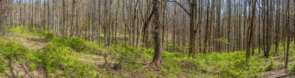 Lot 35 Thomas Knob Estates Road Scaly Mountain NC 28775