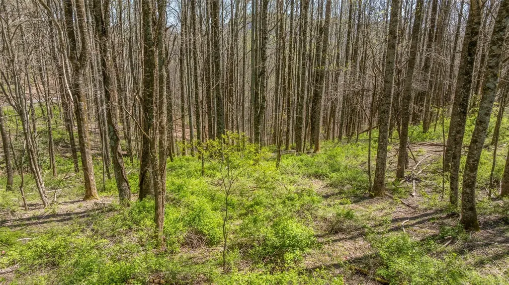 Lot 35 Thomas Knob Estates Road Scaly Mountain NC 28775