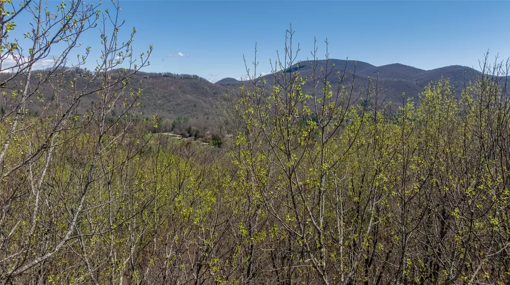 Lot 35 Thomas Knob Estates Road Scaly Mountain NC 28775
